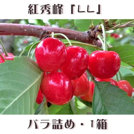 期間限定予約販売！さくらんぼ『紅秀峰・LLサイズ（バラ詰め）』【1㎏】《北海道壮瞥町産》