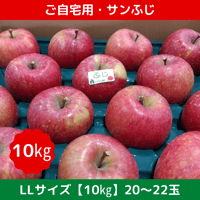 期間限定販売！りんご【サンふじ】『ご自宅用』【10㎏】《北海道壮瞥町産》