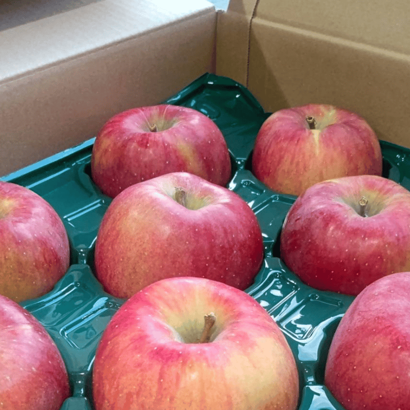 りんご様　10日 ニュージーランド産 JAZZりんご(品種:サイフレッシュ) 約2.6キロ