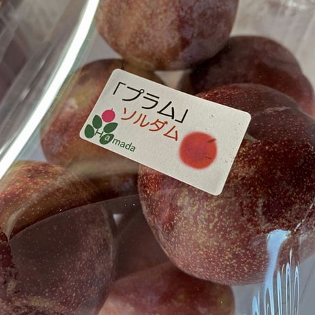 季節限定商品！プラム「ソルダム（LMサイズ混合）」2㎏