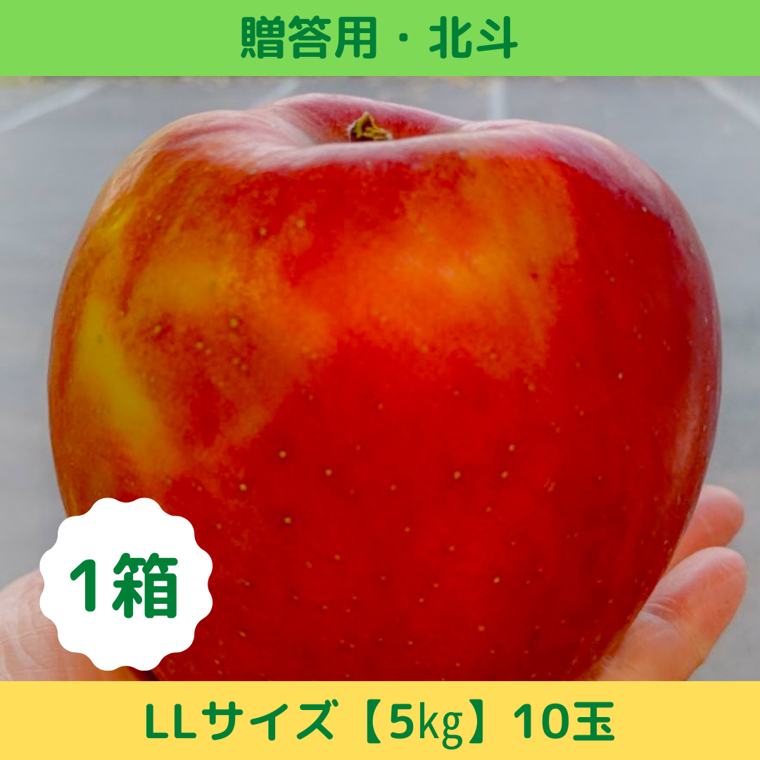 期間限定販売！りんご【北斗】『LLサイズ・10玉入り（贈答用