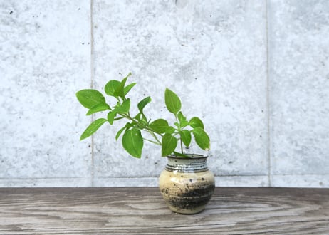 CATEGORY 中里 太亀 | 隆太窯 shop