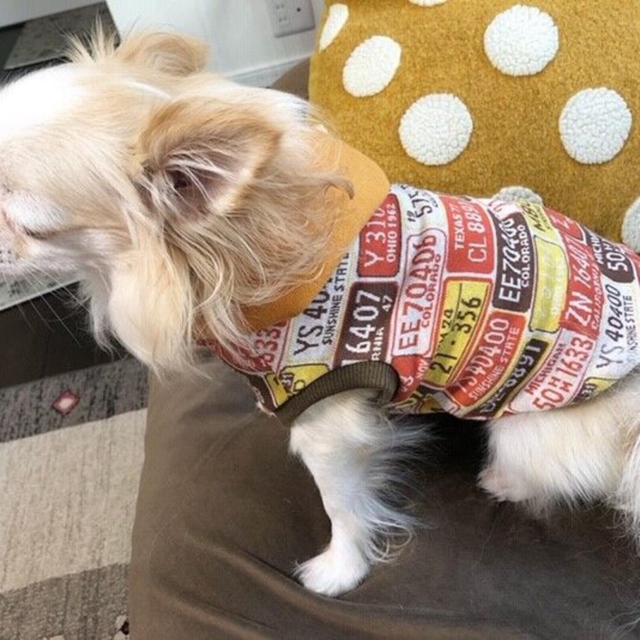 5f7bf13afbe5b552bc456383