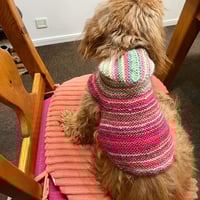 フード付きベスト 小型犬用