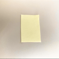 "polishing cloth"
