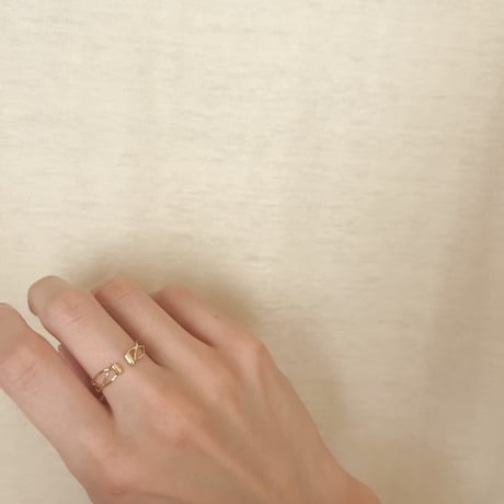 "the gate" ring