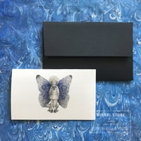 Morpho Card 【adonis】