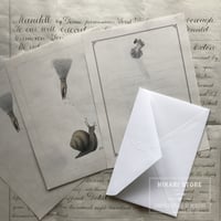 レターセット Lace Snail