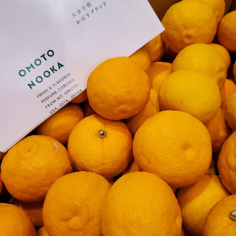 ゆず＆オレンジ(11月・12月商品) | okashimoze online store