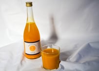 のうろくジュース◆オレンジ感たっぷり！濃厚な味わいを楽しめます！◆添加物・保存料不使用！