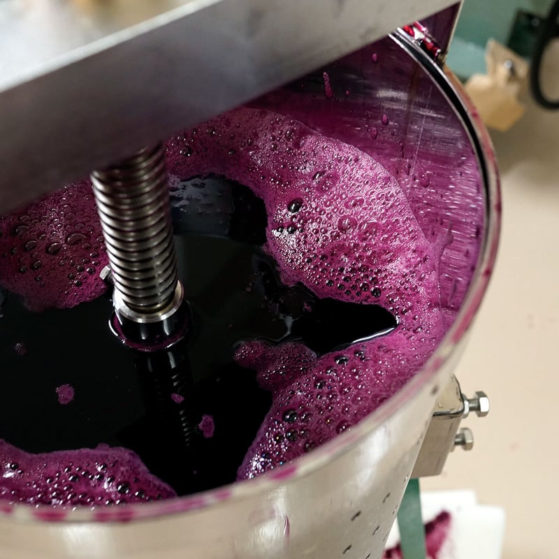 完熟山ぶどう 手搾りジュース | 稲泉農園 ｜ オーチャード・カフェ