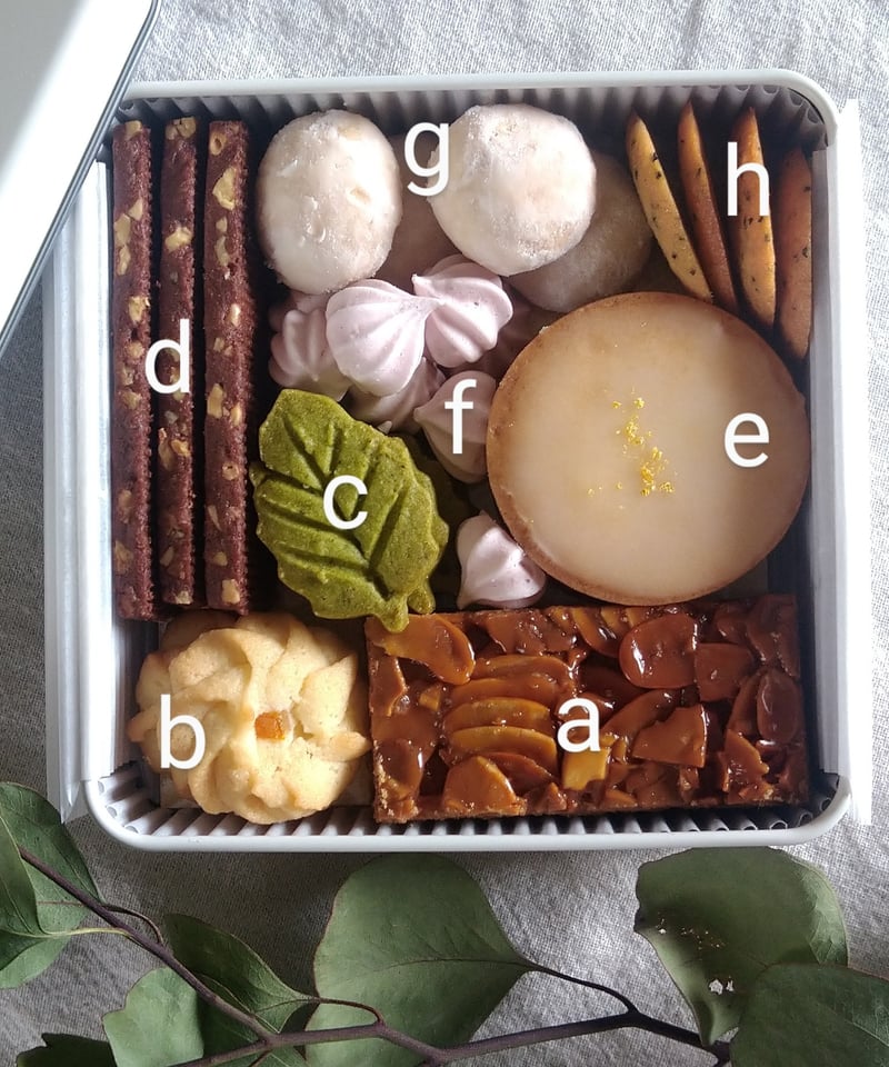 初夏のクッキー缶2024【展示のみ】 | 小さな森焼菓子店