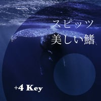 【+4キー】スピッツ『美しい鰭』ピアノ伴奏音源