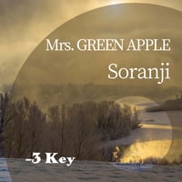 結婚式定番BGM原盤9枚セット（Mrs.GREEN APPLE、星野源 他） 結婚式定番BGM原盤9枚セット（Mrs.GREEN APPLE、星野源 他