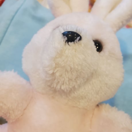 食後のうさぎちゃんぬいぐるみ🐰