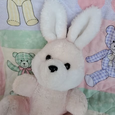 食後のうさぎちゃんぬいぐるみ🐰