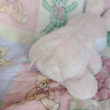 食後のうさぎちゃんぬいぐるみ🐰