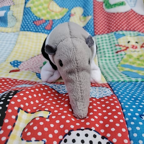 Tyぬいぐるみアリクイさん🐜
