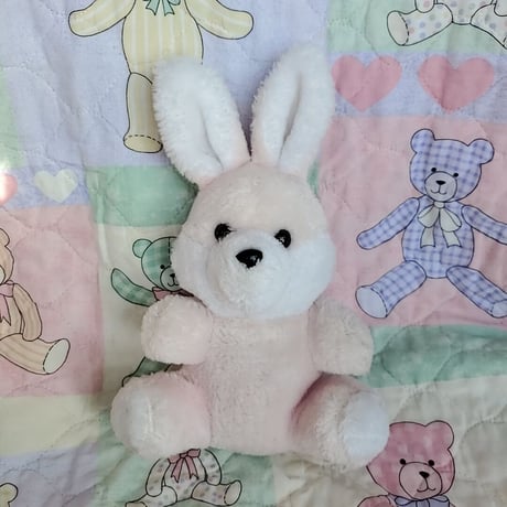 食後のうさぎちゃんぬいぐるみ🐰