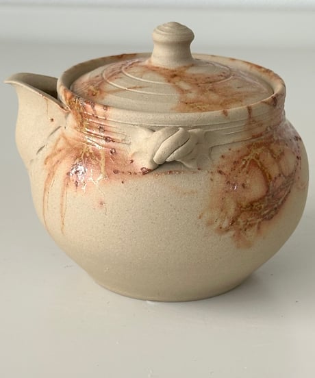 煎茶道具　常滑焼　谷川仁作　白泥藻掛　茶器　急須　茶碗　共箱　D　R5730 煎茶道具 常滑焼 谷川仁作 白泥藻掛 茶器 急須 茶碗 共箱
