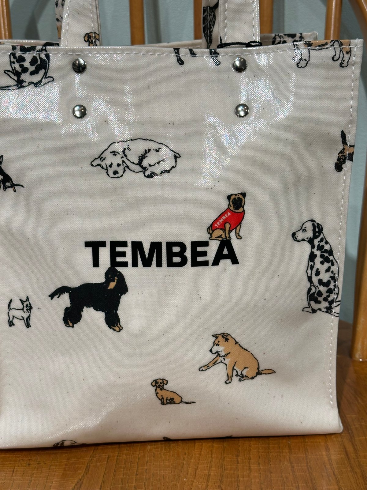 TEMBEA MINI TOTE dog ハンドルカバーつき TEMBEA(テンベア) BAGUETTE TOTE MINI DOG