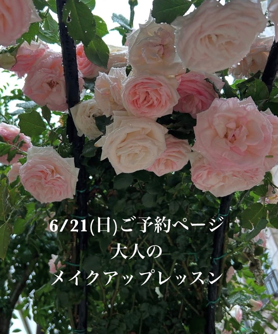 6a204f86bc017d2d4b1f3a22