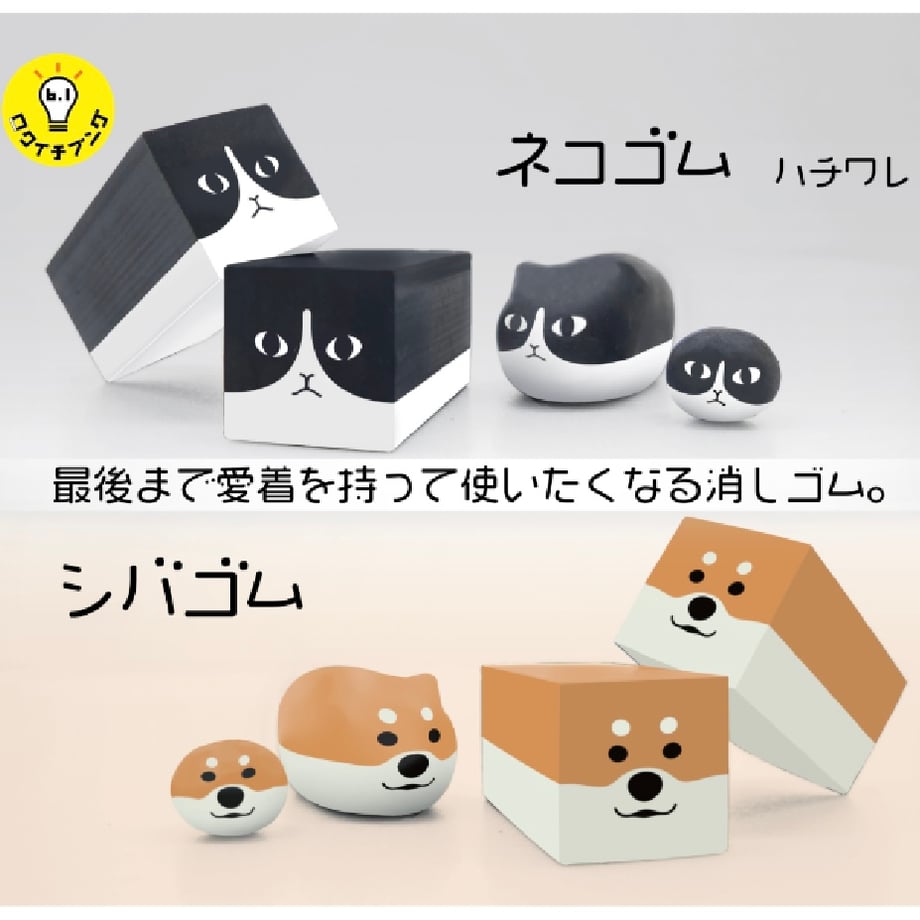 65d4391a1b359a0359c0c423