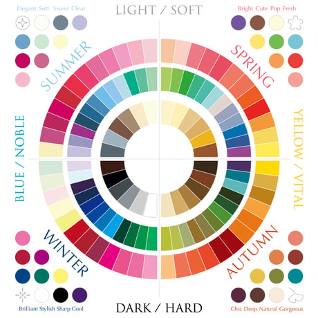 AIS Color Store AIS Color Store
