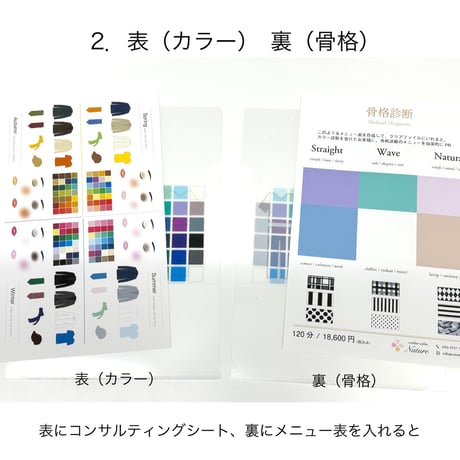 Color Clear File（10枚セット）Set of 10