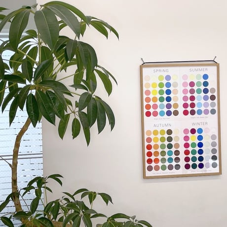 Color Board （4 Seasons set）/ カラーボード