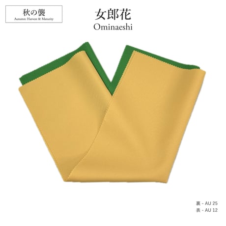 120色パーソナルカラードレープ活用例1