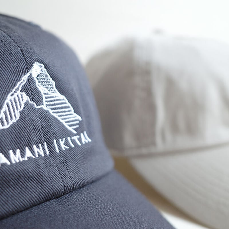 YAMANIIKITAI 刺繍キャップ チャコールグレー | 野台 / yatai