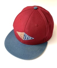 patagonia embroidery cap.