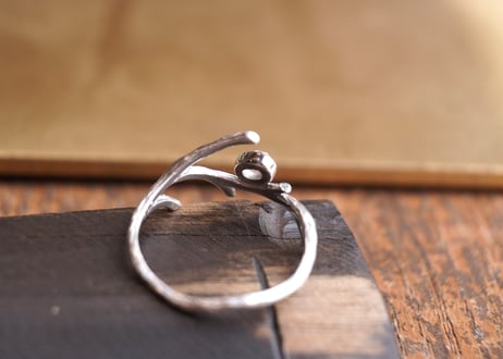 ムーンストーン　BranchSilverRing