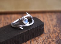 ラブラドライト　BranchSilverRing