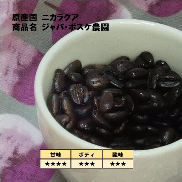 爆安!!コーヒー生豆/ニカラグアSHG /送料無料5kg 爆安!!コーヒー生豆