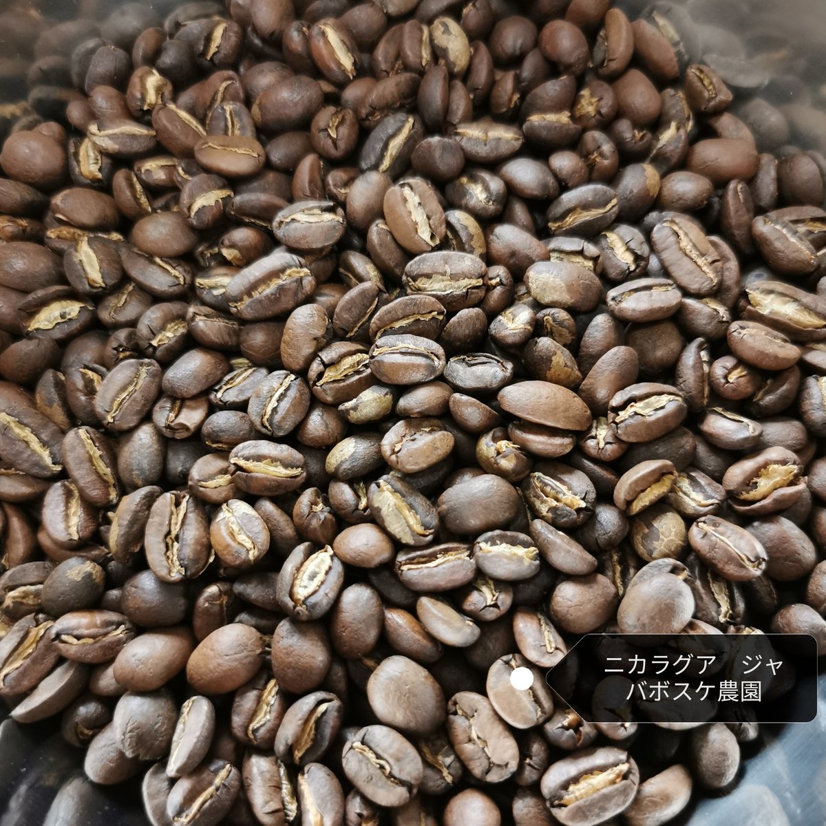 爆安!!コーヒー生豆/ニカラグアSHG /送料無料5kg 爆安!!コーヒー生豆/ニカラグアSHG /送料無料5kg ニカラグア SHG