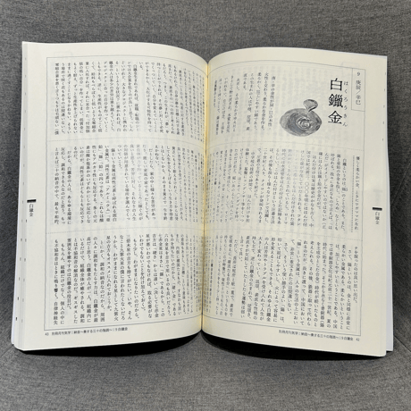 月刊気学 別冊『納音 〜奏する三十の階調〜』