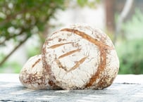 ルヴァン  コンプレ３０