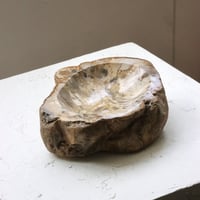 " OAK ” Petrified Wood Accessory Tray - M #407
