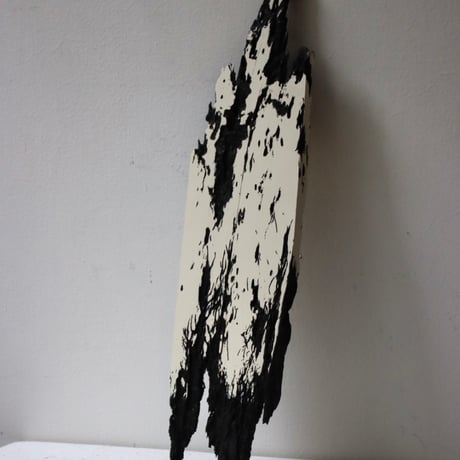 " Daiki Tado " Nature or Nurture