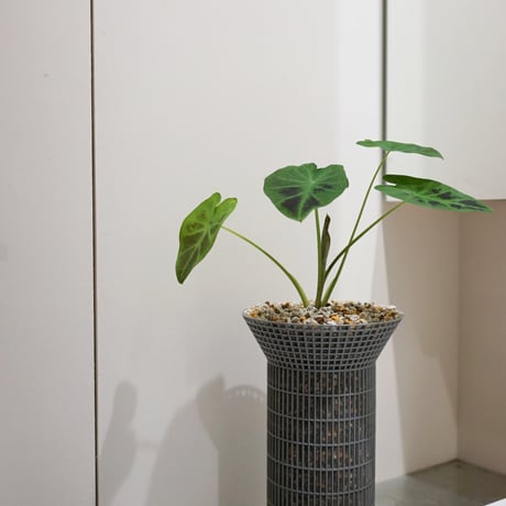 "RETAININGPOT" CC 7.6GO 15SO