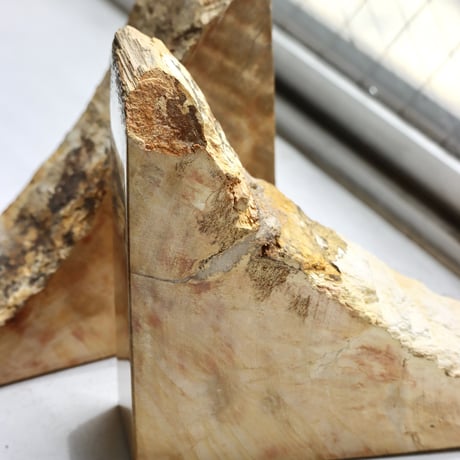 " OAK ” Petrified Wood Bookend - S #003