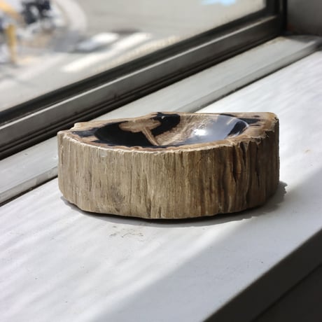" OAK ” Petrified Wood Accessory Tray - S #437