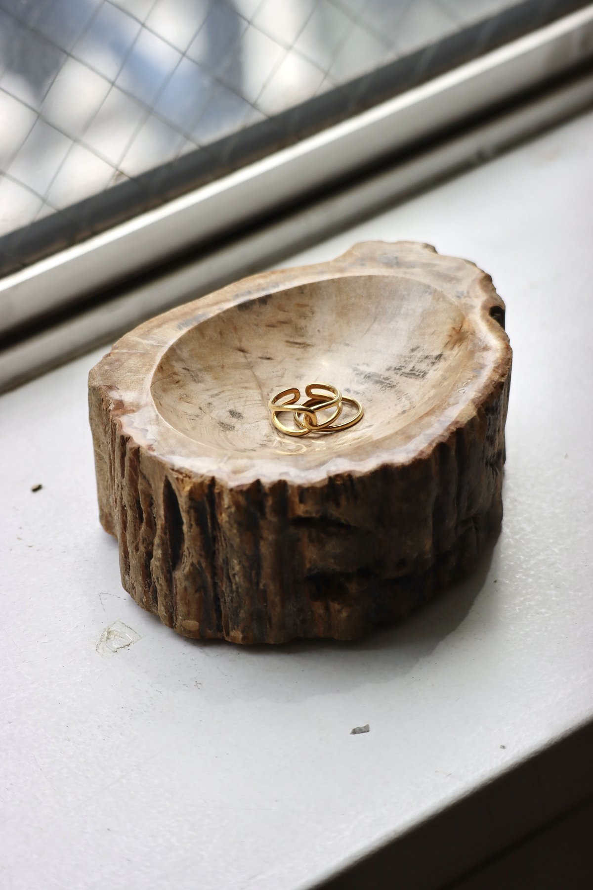 OAK ” Petrified Wood Accessory Tray - S #428