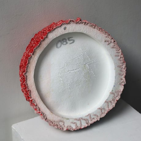 " Ryota Akiyama " Crack and Shrink