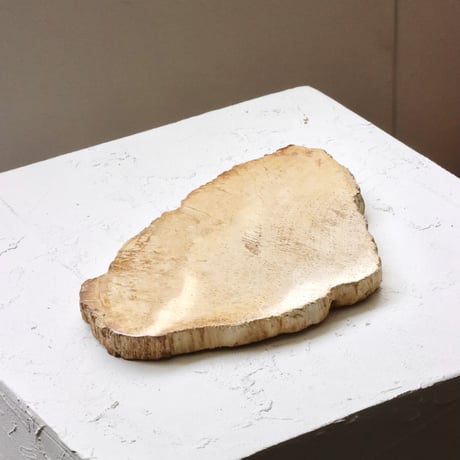 " OAK ” Petrified Wood Plate - S