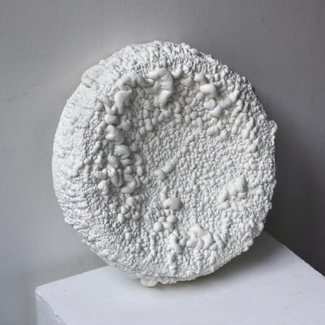 " Ryota Akiyama " Crack and Shrink