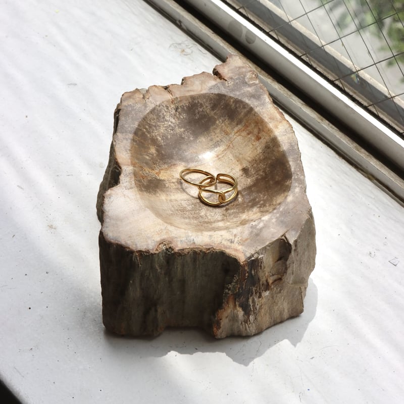 OAK ” Petrified Wood Accessory Tray - S #433