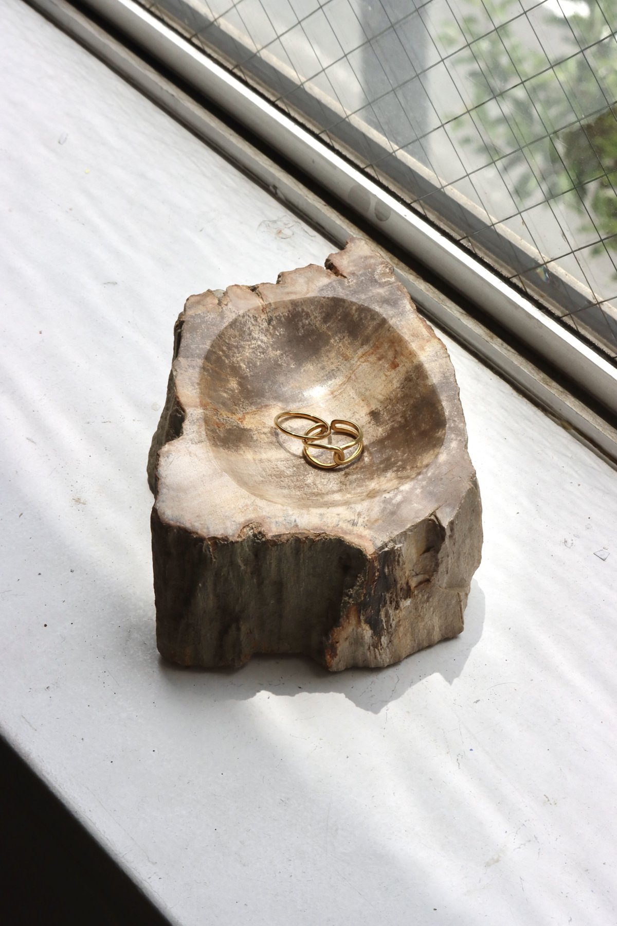 OAK ” Petrified Wood Accessory Tray - S #433